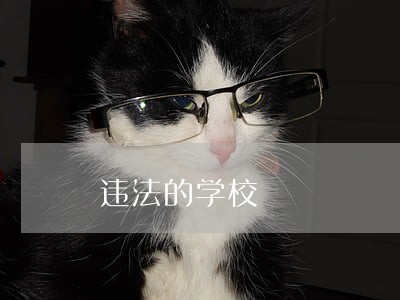 违法的学校 违法的学校