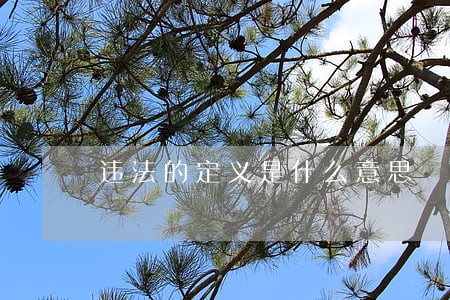 违法的定义是什么意思 违法的定义是什么意思