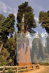 违法的是私生活吗 违法的是私生活吗