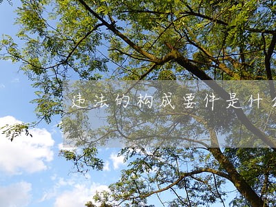 违法的构成要件是什么 违法的构成要件是什么