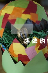 违法的网贷逾期会被起诉吗 违法的网贷逾期会被起诉吗