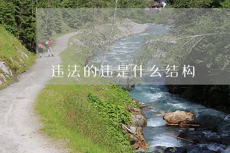 违法的违是什么结构 违法的违是什么结构