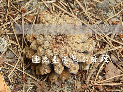 违法盖房怎么处理 违法盖房怎么处理
