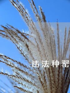 违法种罂粟栾川三农民被处罚 违法种罂粟栾川三农民被处罚
