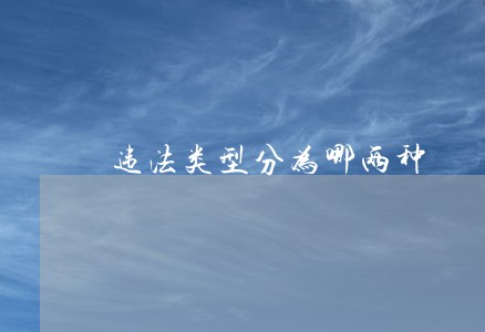 违法类型分为哪两种 违法类型分为哪两种