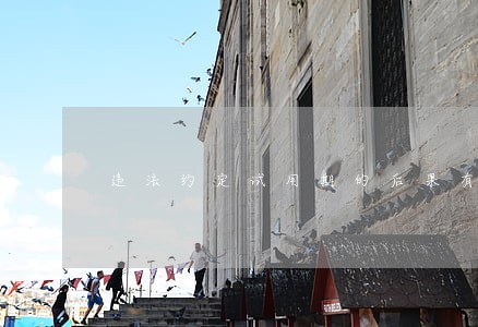 违法约定试用期的后果有哪些 违法约定试用期的后果有哪些
