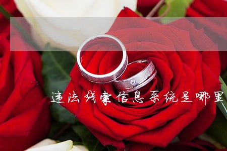 违法线索信息系统是哪里管的