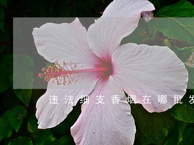 违法细支香烟在哪批发 违法细支香烟在哪批发