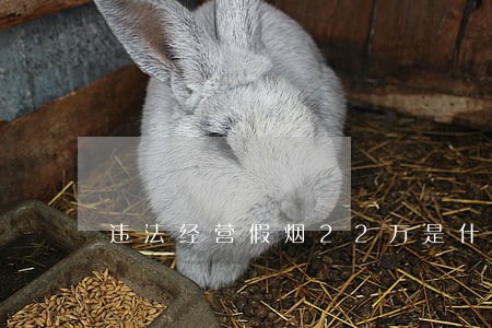 违法经营假烟22万是什么罪 违法经营假烟22万是什么罪