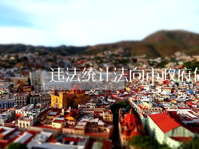违法统计法向市政府做的检讨书 违法统计法向市政府做的检讨书