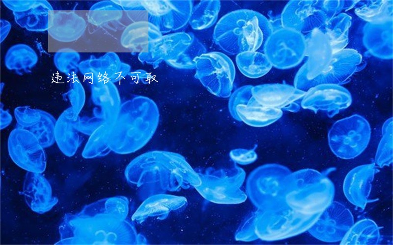 违法网络不可取 违法网络不可取
