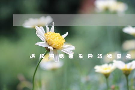 违法网络音乐网站被查处 违法网络音乐网站被查处