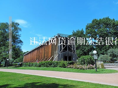 违法网贷逾期冻结银行卡 违法网贷逾期冻结银行卡