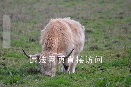 违法网页直接访问 违法网页直接访问