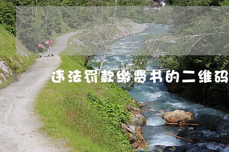 违法罚款缴费书的二维码 违法罚款缴费书的二维码