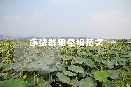 违法群租举报范文 违法群租举报范文