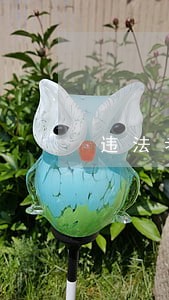 违法者心疼 违法者心疼
