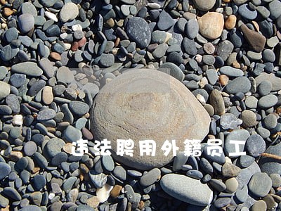 违法聘用外籍员工 违法聘用外籍员工