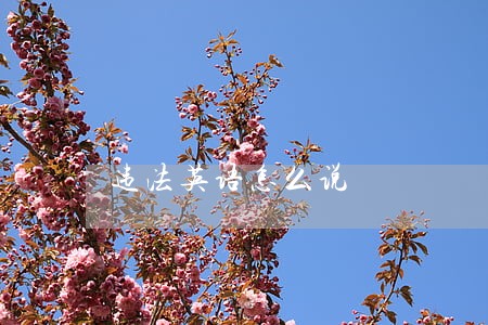 违法英语怎么说 违法英语怎么说