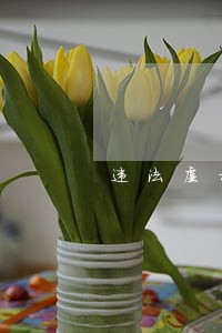 违法虚构业务套取费用
