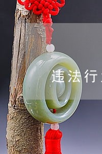 违法行为13011 违法行为13011