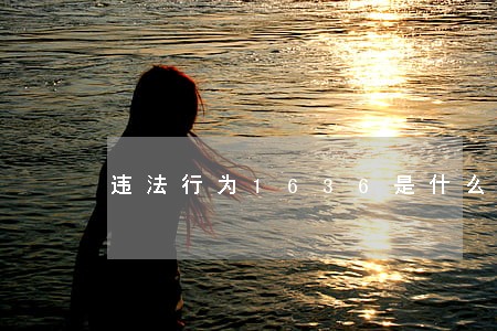 违法行为1636是什么 违法行为1636是什么
