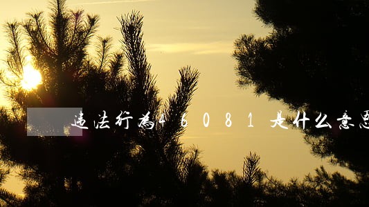 违法行为46081是什么意思 违法行为46081是什么意思