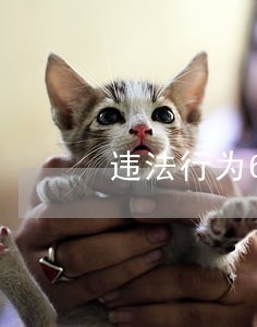 违法行为63宗 违法行为63宗