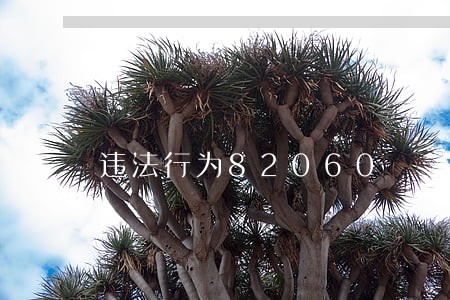违法行为82060 违法行为82060