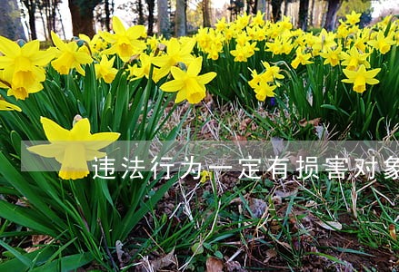 违法行为一定有损害对象吗 违法行为一定有损害对象吗