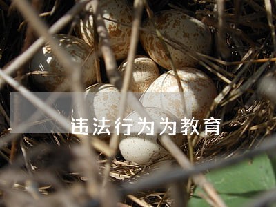 违法行为为教育