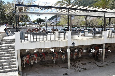 违法行为人和违法嫌疑人的区别 违法行为人和违法嫌疑人的区别