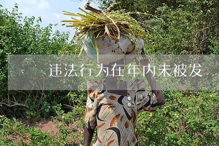 违法行为在年内未被发 违法行为在年内未被发