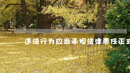违法行为应当承担法律责任正式版 违法行为应当承担法律责任正式版
