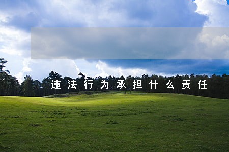 违法行为承担什么责任 违法行为承担什么责任