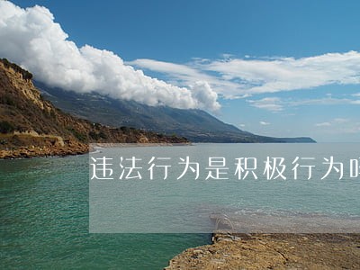 违法行为是积极行为吗 违法行为是积极行为吗