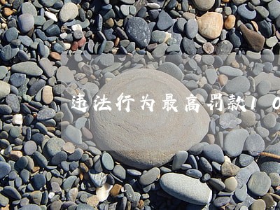 违法行为最高罚款1000万元 违法行为最高罚款1000万元