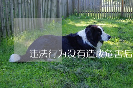 违法行为没有造成危害后果的 违法行为没有造成危害后果的