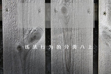 违法行为的分类八上
