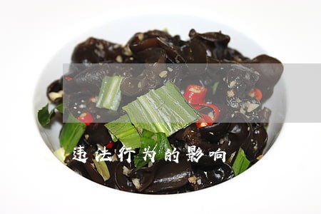 违法行为的影响