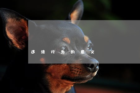 违法行为的意义 违法行为的意义