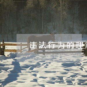 违法行为的理解 违法行为的理解