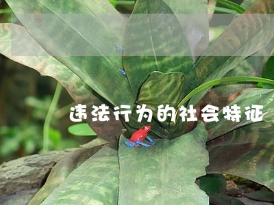 违法行为的社会特征