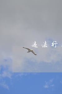 违法行为的观点