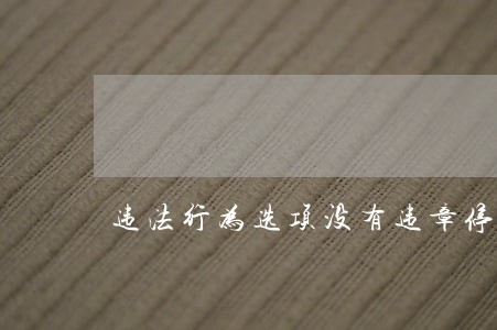 违法行为选项没有违章停车么