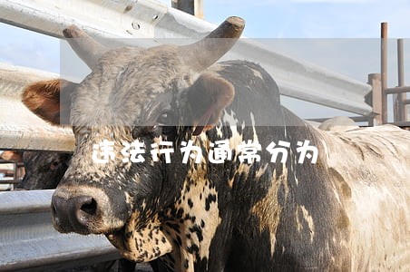 违法行为通常分为 违法行为通常分为