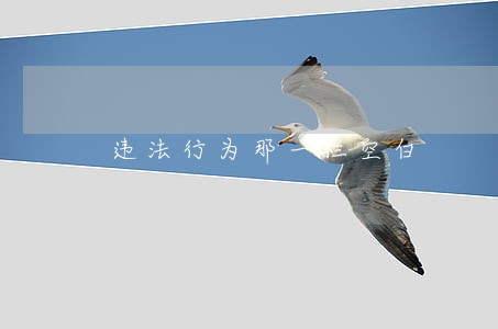 违法行为那一栏空白 违法行为那一栏空白