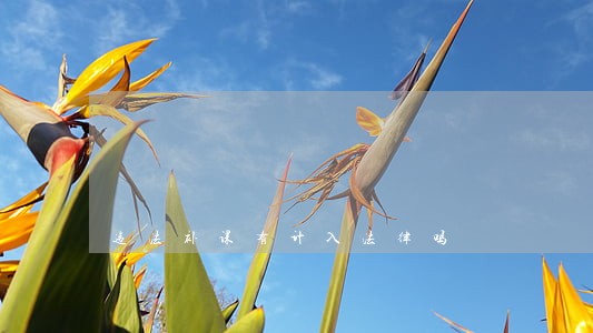违法补课有计入法律吗 违法补课有计入法律吗