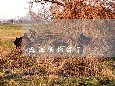 违法被拘留了 违法被拘留了