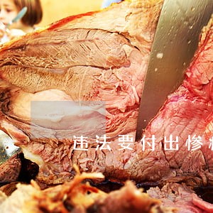违法要付出惨痛代价 违法要付出惨痛代价